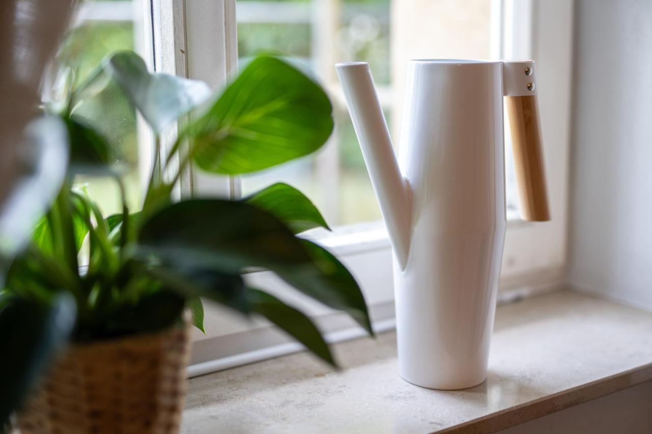 Toni Charming Apartment Im Idyllischem Villenviertel Mit Netflix Dresda Exterior foto