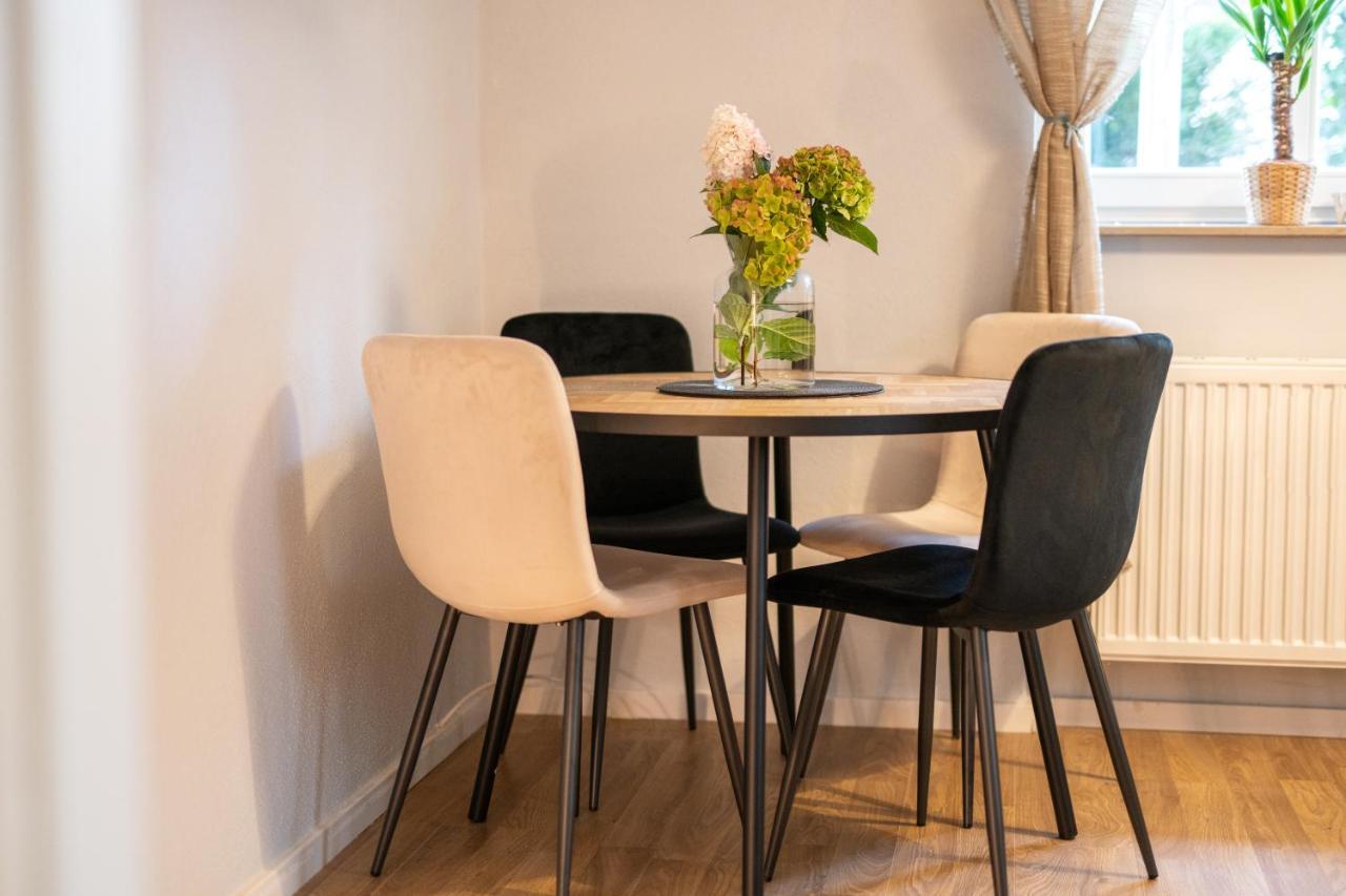 Toni Charming Apartment Im Idyllischem Villenviertel Mit Netflix Dresda Exterior foto