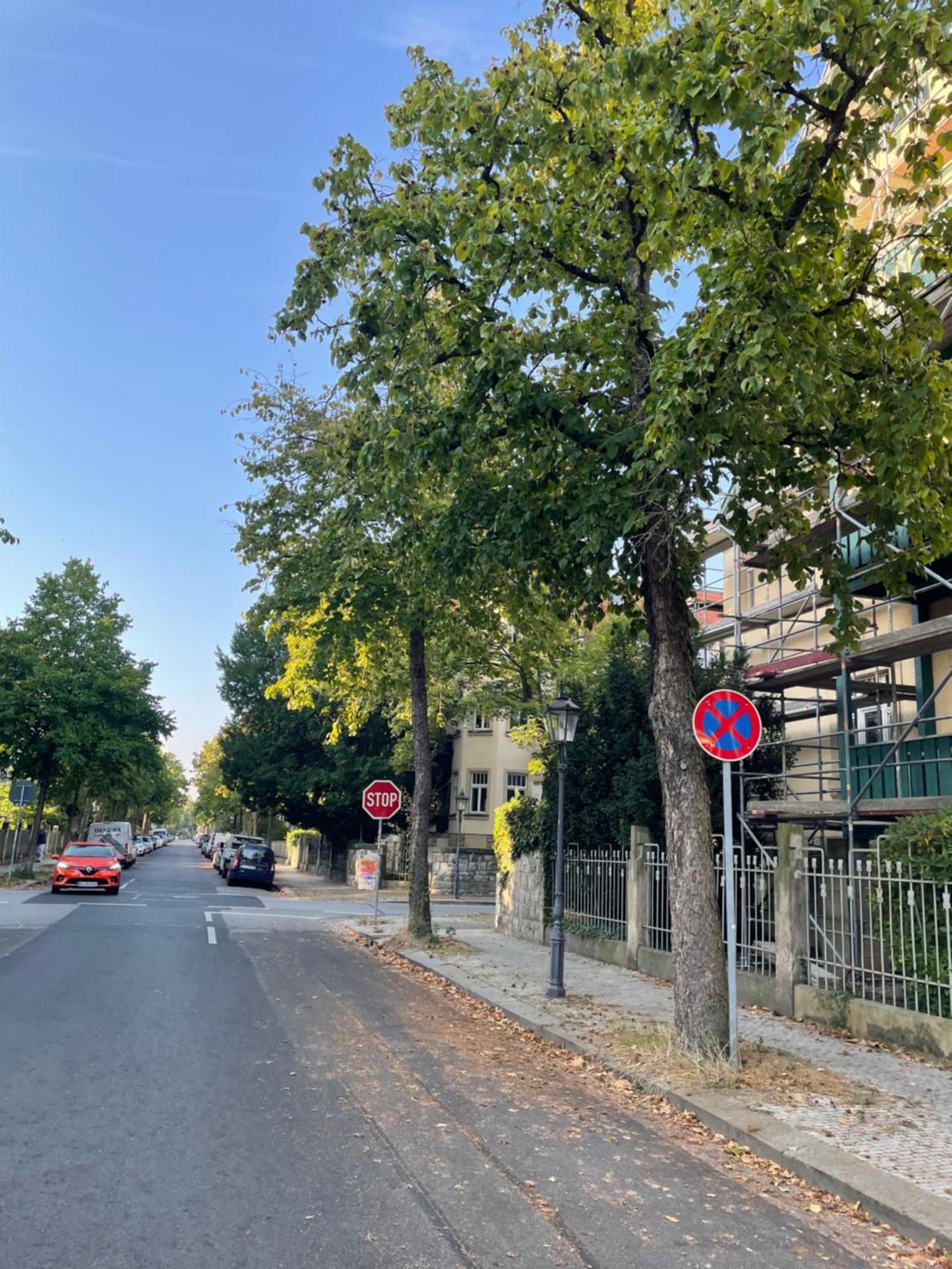 Toni Charming Apartment Im Idyllischem Villenviertel Mit Netflix Dresda Exterior foto
