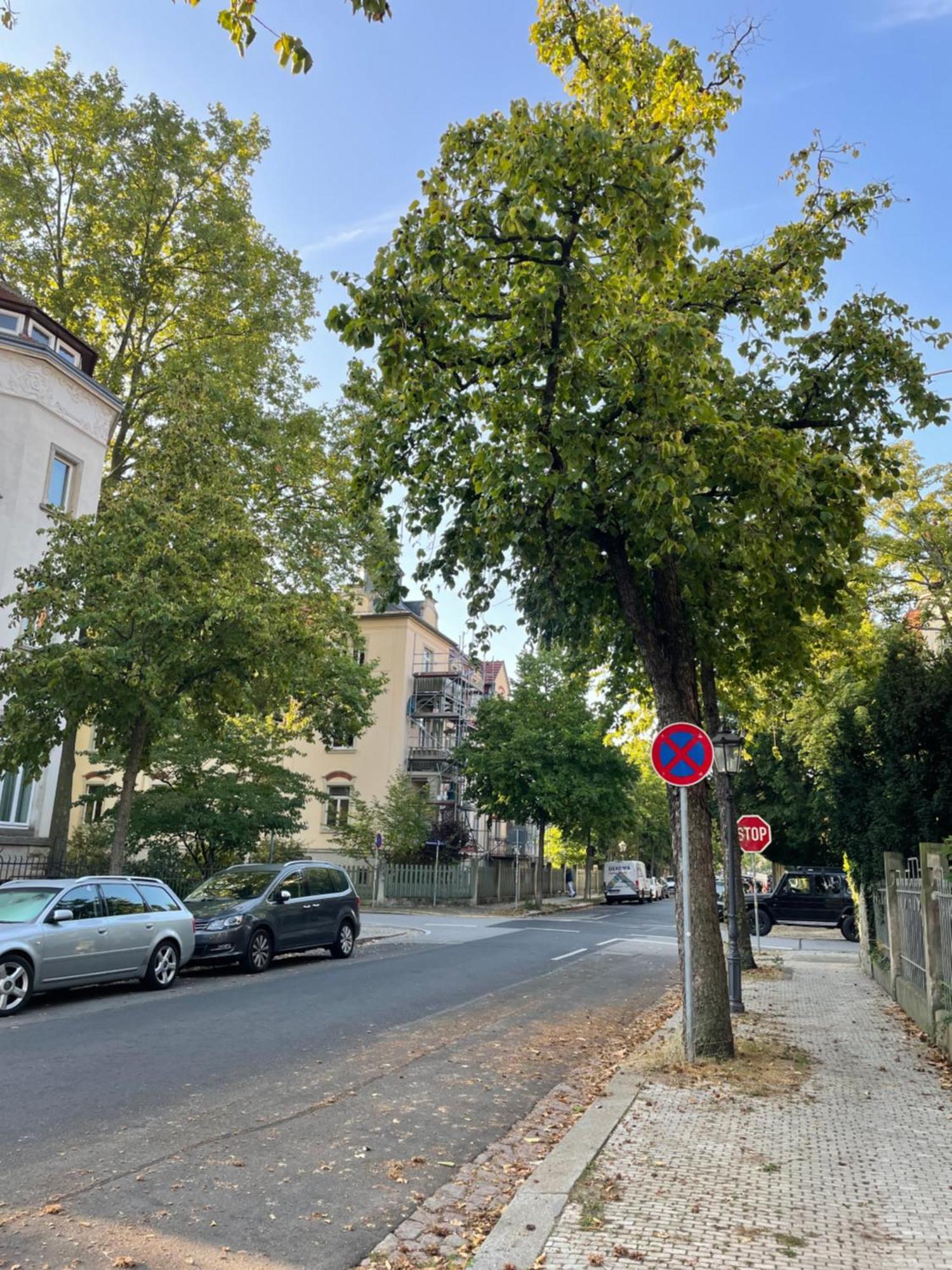 Toni Charming Apartment Im Idyllischem Villenviertel Mit Netflix Dresda Exterior foto